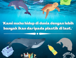 Dunia Lain Di Bawah Laut: Menjelajah Kedalaman Malaysia