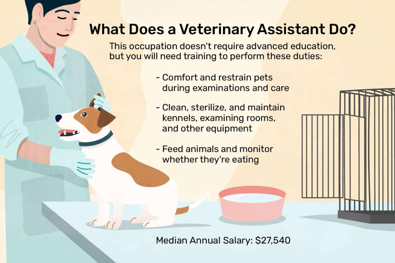 veterinary assistant jobs