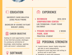 Buat Resume Free: Panduan Langkah demi Langkah