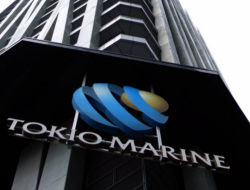 Karier di Tokio Marine: Membangun Masa Depan yang Lebih Aman