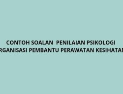 Penilaian Psikologi Organisasi: Memahami dan Meningkatkan Kinerja Individu dan Organisasi