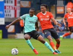 Luton Town vs Brighton: Pertembungan Dua Pasukan Bersejarah di Stadium Kenilworth Road