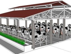 Reka Bentuk Kandang Lembu