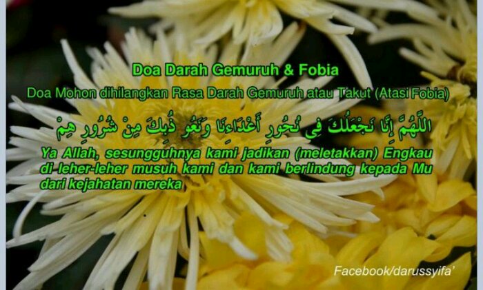 darah gemuruh